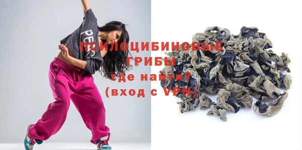 стаф Медвежьегорск