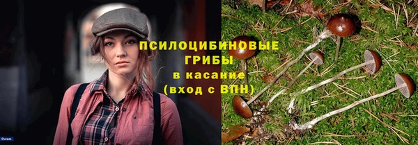 стаф Медвежьегорск