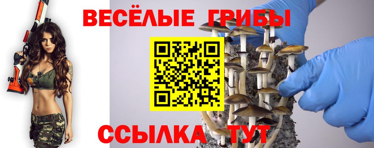 Галлюциногенные грибы Magic Shrooms  Галлюциногенные грибы Cubensis  Троицк  Вход с VPN 